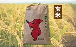 「長生産ふさこがね（玄米）」がもらえる「千葉県長生村」