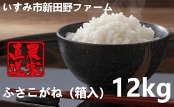 「千葉県いすみ市」の「いすみ米ふさこがね12kg」