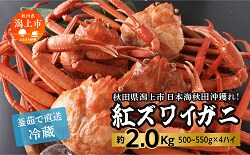 「潟上市」の「日本海沖産 紅ズワイガニ500〜550g×4匹 2.0kg〜2.2kg／冷蔵」