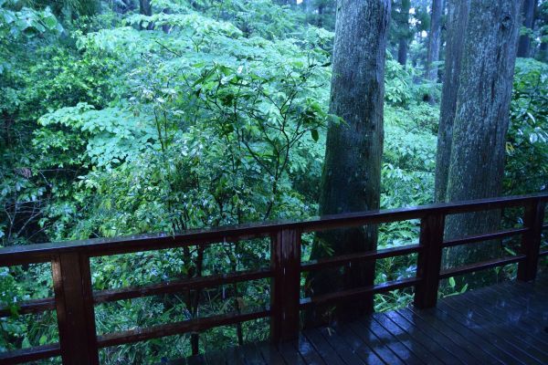 「箱根・翠松園」の部屋から見た景色