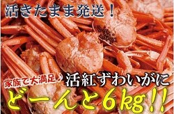 「志賀町」の「活紅ズワイガニ どーんと6kg!!」