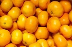 「まるな柑橘園の小粒みかん」がもらえる「佐賀県鹿島市」
